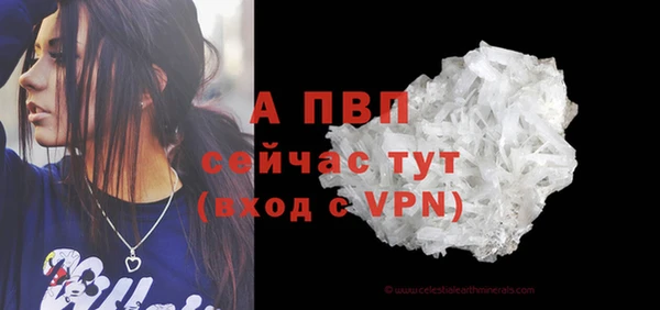 крисы Белоозёрский