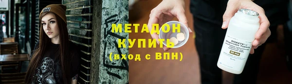 прущие грибы Белокуриха