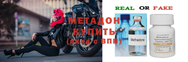 прущие грибы Белокуриха