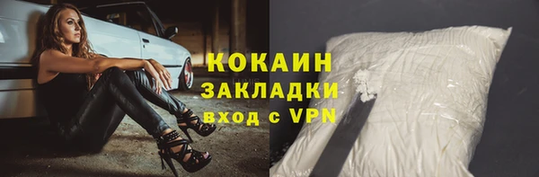 прущие грибы Белокуриха