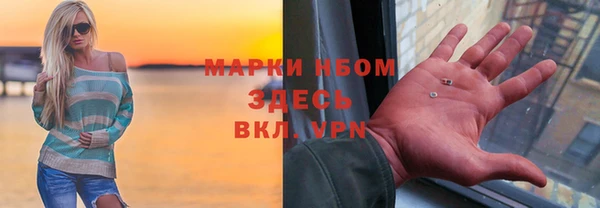 прущие грибы Белокуриха