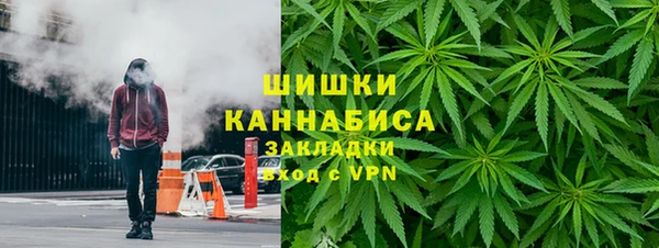 прущие грибы Белокуриха