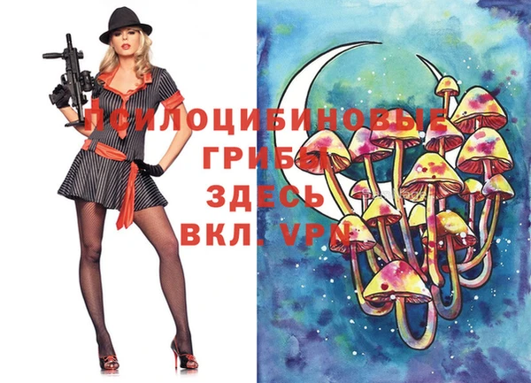 крисы Белоозёрский
