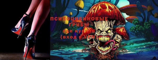 крисы Белоозёрский