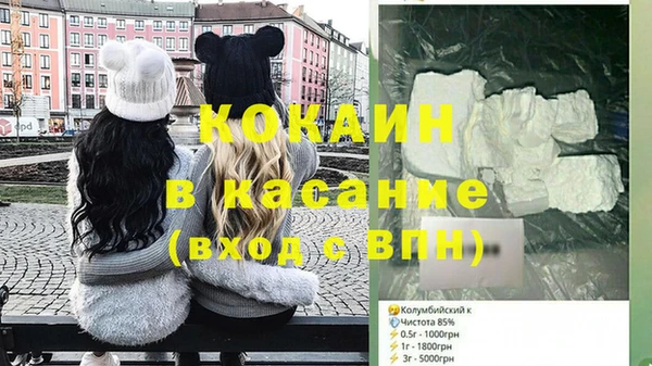 прущие грибы Белокуриха