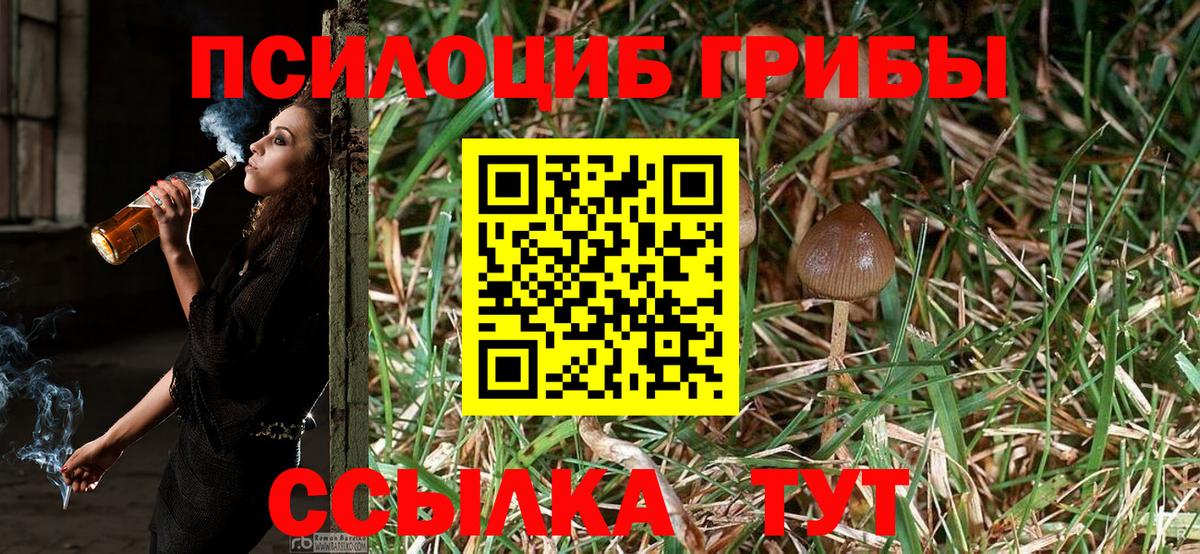 Буйнакск  Псилоцибиновые грибы Magic Shrooms  Вход с VPN  Псилоцибиновые грибы Psilocybine cubensis 